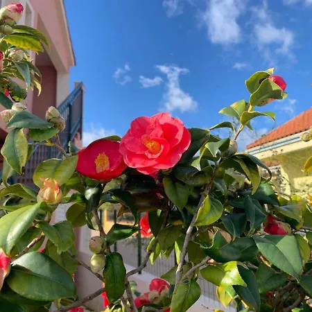 Melissani House بيت للعطل كارافوميلوس